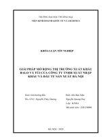 Giải pháp  mở rộng thị trường xuất khẩu các sản phẩm túi và balo của công ty tnhh xuất nhập khẩu và Đầu tư sản xuất hà nội