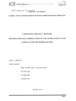 G1_00271 XÂY DỰNG CHIẾN LƯỢC KINH DOANH CỦA CÔNG TY KÍNH NỔI VIGLACERA GIAI ĐOẠN 2012-2015 BUSINESS STRATEGY FORMULATION OF VIGLACERA FLOAT GLASS COMPANY FOR THE PERIOD 2012-2015