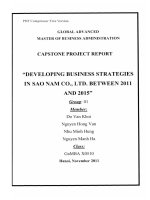 G1_00244 “PHÁT TRIỂN CHIẾN LƯỢC KINH DOANH TẠI CÔNG TY TNHH SAO NAM GIAI ĐOẠN 2011 - 2015” "DEVELOPING BUSINESS STRATEGIES IN SAO NAM CO., LTD. BETWEEN 2011 AND 2015"
