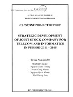 G1_00231 CHIẾN LƯỢC PHÁT TRIỂN CỦA CÔNG TY CỔ PHẦN VIỄN THÔNG VÀ TIN HỌC GIAI ĐOẠN 2011 - 2015 STRATEGIC DEVELOPMENT OF JOINT STOCK COMPANY FOR TELECOM AND INFORMATICS IN PERIOD 2011 - 2015