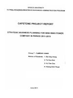 G1_00232 KẾ HOẠCH KINH DOANH CHIẾN LƯỢC CỦA CÔNG TY ĐIỆN LỰC NINH BÌNH GIAI ĐOẠN 2011-2015 STRATEGIC BUSINESS PLANNING FOR NINH BINH POWER COMPANY IN PERIOD 2011-2015