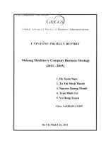 G1 00239 Mekong Machinery Company Business Strategy (2011 - 2015) Chiến lược kinh doanh của Công ty Máy móc Mekong (2011 - 2015)