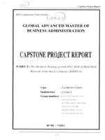 G1_00265 ĐỀ TÀI: Chiến lược kinh doanh giai đoạn 2011-2020 của Công ty Cổ phần Khoáng sản Bình Định (BIMICO)