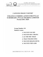 G1 00254 XÂY DỰNG CHIẾN LƯỢC CHO CÔNG TY CON CỦA PVGAS - PVGAS TRADING LIMITED GIAI ĐOẠN 2011-2025 STRATEGY FORMULATION FOR PVGAS SUBSIDIARY- PVGAS TRADING LIMITED Period 2011-2025