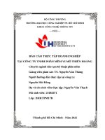 IUH - BCTT Kỹ thuật phần mềm - CÔNG TY TNHH PHẦN MỀM VI MÔ THIÊN HOÀNG