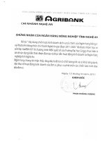 G1_00272 BUU DING UP BUSINESS STRATEGY OF FINANCIAL SERVICE OF AGRIBANK NGHE AN WITHIN THE PERIOD OF 2011-2020