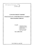 G1_00309 BÁO CÁO DỰ ÁN CAPSTONE CHIẾN LƯỢC THƯƠNG HIỆU CÁ TRÊ TẠI THỊ TRƯỜNG MỸ CỦA CÔNG TY VINAFISH CAPSTONE PROJECT REPORT STRATEGIES OF CATFISH BRAND IN US MARKET FOR VINAFISH COMPANY