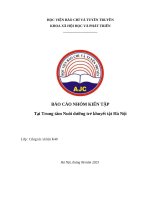 Kiến tập CTXH - Báo cáo nhóm