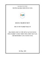 Hoạt Động cho vay tiêu dùng tại ngân hàng nông nghiệp và phát triển nông thôn việt nam chi nhánh hoà vang nam Đà nẵng