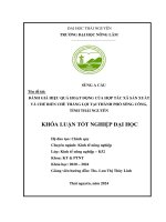 Đánh giá hiệu quả hoạt Động của hợp tác xã sản xuất và chế biến chè thắng lợi tại thành phố sông công tỉnh thái nguyên