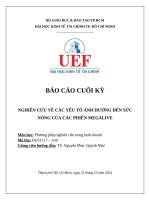 Nghiên cứu về các yếu tố Ảnh hưởng Đến sức nóng của các phiên megalive