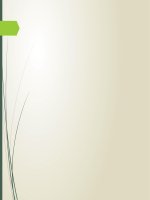 Tiểu luận cuối kỳ triết học Mác - Lê Nin ppt