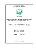 Nghiên cứu Đặc Điểm cấu trúc rừng tại xã thượng giáo, huyện ba bể, tỉnh bắc kạn