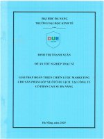 Giải pháp hoàn thiện chiến lược marketing cho sản phẩm lốp xe Ô tô du lịch tại công ty cổ phần cao su Đà nẵng