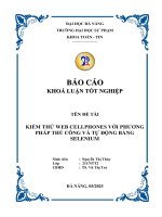 Kiểm thử web cellphones với phương pháp thủ công và tự Động bằng selenium