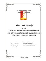 Ứng dụng phương pháp kiểm tra không phá hủy (ndt) kiểm tra mối hàn Đường Ống công nghệ của dự Án ghp neom