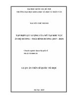 Tóm tắt tập hợp lực lượng của mỹ tại khu vực Ấn Độ dương   thái bình dương (2017   2025)