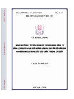 Nghiên cứu gây tê thần kinh Đùi và thần kinh hông to bằng levobupivacain dưới hướng dẫn của siêu Âm Để giảm Đau cho bệnh nhân trong cấp cứu chấn thương chi dưới