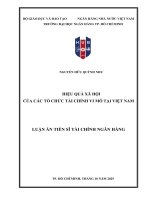 Hiệu quả xã hội của các tổ chức tài chính vi mô tại việt nam