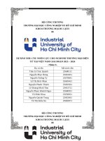 IUH - DỰ BÁO NHU CẦU NHÂN LỰC CHO NGHÀNH THƯƠNG MẠI ĐIỆN TỬ TẠI VIỆT NAM GIAI ĐOẠN 2025 – 2026