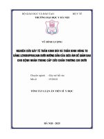 Tóm tắt nghiên cứu gây tê thần kinh Đùi và thần kinh hông to bằng levobupivacain dưới hướng dẫn của siêu Âm Để giảm Đau cho bệnh nhân trong cấp cứu chấn thương chi dưới