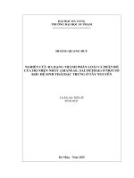  nghiên cứu Đa dạng thành phần loài và phân bố của họ nhện nhảy (araneae salticidae) Ở một số khu hệ sinh thái Đặc trưng Ở tây nguyên