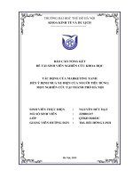 Tác Động của marketing xanh Đến Ý Định mua xe Điện của người tiêu dùng một nghiên cứu tại thành phố hà nội