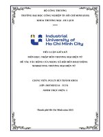 IUH - TIỂU LUẬN NHẬP MÔN THƯƠNG MẠI ĐIỆN TỬ - ĐỀ TÀI: TÁC ĐỘNG CỦA MẠNG XÃ HỘI ĐẾN HOẠT ĐỘNG MARKETING THƯƠNG MẠI ĐIỆN TỬ