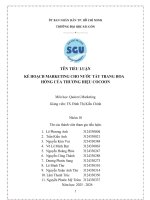 Tiểu luận kế hoạch marketing cho nước tảy trang hoa hồng của thương hiệu cocoon