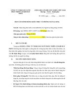 MẪU BÁO CÁO CAPA - BÁO CÁO HÀNH ĐỘNG KHẮC PHỤC VÀ PHÒNG NGỪA