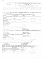 Tài liệu ôn tập thi thptqg