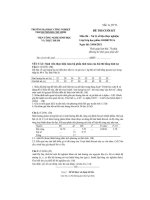 IUH - Đề thi cuối kỳ - Xử lý số liệu thực nghiệm