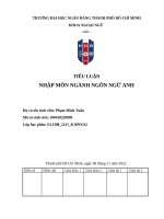 TIỂU LUẬN NHẬP MÔN NGÀNH NGÔN NGỮ ANH