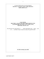 Giáo trình chuyên Đề Điều khiển khung gầm nghề bảo trì và sửa chữa Ôtô trình Độ trung cấp phan quốc hùng
