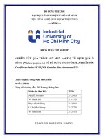 IUH - KLTN - NGHIÊN CỨU QUÁ TRÌNH LÊN MEN LACTIC TỪ DỊCH QUẢ ỔI HỒNG (Psidium guajava L.) CÓ BỔ SUNG DỊCH VỎ CHANH DÂY TÍM
(Passiflora edulis) SỬ DỤNG Lactobacillus plantarum 299v