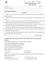 Bộ 4 Đề Ôn tập cuối hki môn tiếng việt lớp 2 hệ chuẩn vinschool kèm đáp án