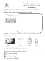 Bộ 6 Đề Ôn tập cuối HKI môn Khoa học tích hợp lớp 2 hệ chuẩn Vinschool kèm đáp án