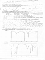 Bộ câu hỏi Đúng sai môn hoá thptqg (1)