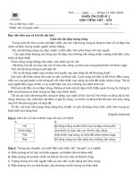 Bộ 5 đề ôn tập cuối HKI môn Tiếng Việt lớp 4 hệ chuẩn Vinschool kèm đáp án