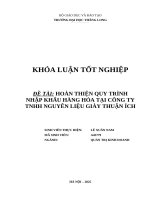 Hoàn thiện quy trình nhập khẩu hàng hóa tại công ty tnhh nguyên liệu giày thuận Ích