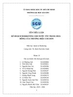 Kế hoạch marketing cho nước tẩy trang hoa hồng của thương hiệu cocoon