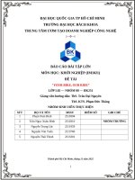 Báo cáo bài tập lớn môn học khởi nghiệp (im1021) Đề tài your bike, our ride