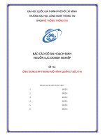 Báo cáo Đồ Án hoạch Định nguồn lực doanh nghiệp Đề tài Ứng dụng erp trong mô hình quản lý siêu thị