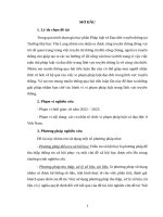 Tiểu luận PL-ĐĐTT – Phân tích sai phạm quảng cáo sai sự thật của diễn viên Cát Tường trên nền tảng truyền thông