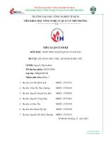 IUH - TIỂU LUẬN NHẬP MÔN NGÀNH QUẢN LÝ ĐẤT ĐAI - XÂY DỰNG MỤC TIÊU, KẾ HOẠCH HỌC TẬP.