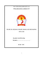 Đề tài nội dung tâm Đắc trong luật môi trường tiểu luận