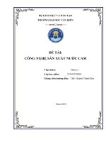 Đề tài công nghệ sản xuất nước cam