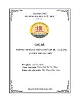 Đề tài các thủ Đoạn trốn thuế giá trị gia tăng, tiêu thụ Đặc biệt