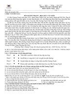 Bộ đề ôn tập cuối HKI môn Tiếng Việt lớp 5 hệ chuẩn Vinschool kèm đáp án