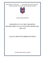 Ảnh hưởng của cấu trúc thị trường Đến hoạt Động của các ngân hàng thương mại việt nam